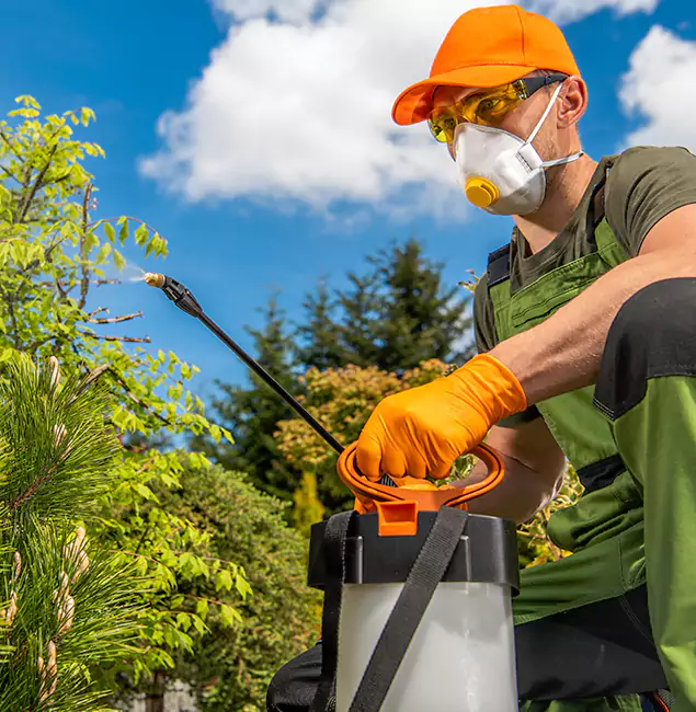 Why Choose Burke Pest Control Pro for Outdoor Pest Control in Burke, VA?