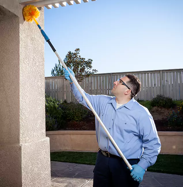 Why Choose Burke Pest Control Pro for Pest Control Services in Burke, VA?