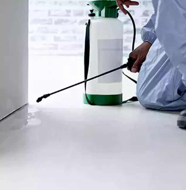 Why Choose Burke Pest Control Pro for Rat Exterminator in Burke, VA?