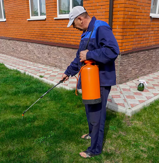 Why Choose Burke Pest Control Pro for Residential Pest Control in Burke, VA?