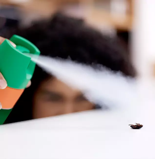 Why Burke, VA Homeowners Choose Burke Pest Control Pro for Roach Pest Control?
