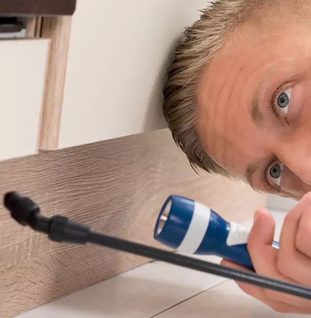 Why Choose Burke Pest Control Pro for Rodent Exterminator in Burke, VA?