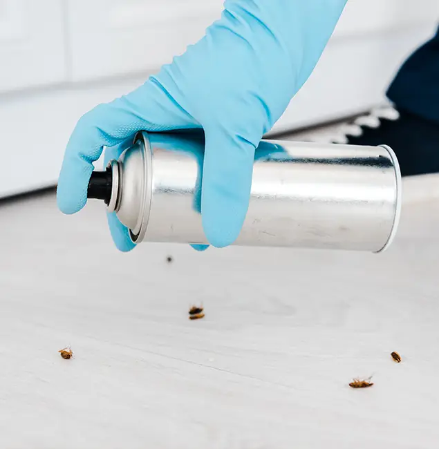 Why Choose Burke Pest Control Pro for Safe Bed Bug Treatment in Burke, VA?