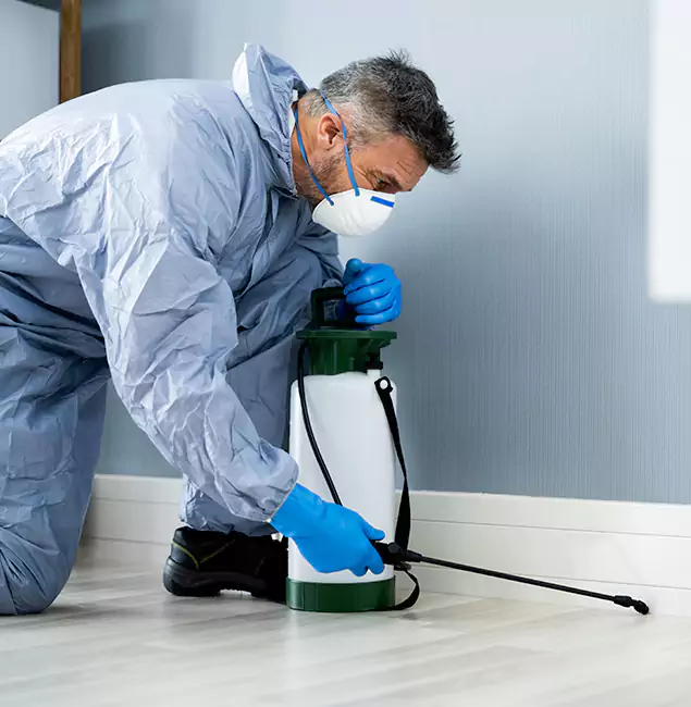 Why Choose Burke Pest Control Pro for Subterranean Termites Treatment in Burke, VA?