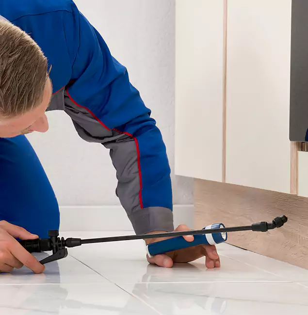Why Burke Residents Choose Burke Pest Control Pro to Get Rid of Sugar Ants?