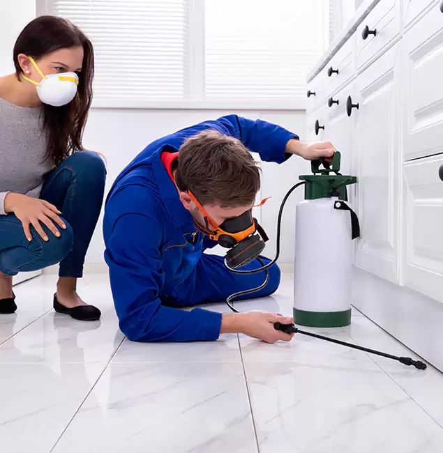 Why Choose Burke Pest Control Pro for Termite Inspection Cost in Burke, VA?