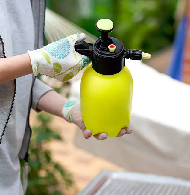 Why Choose Us: Burke Pest Control Pro Termite Spraying Experts in Burke, VA?