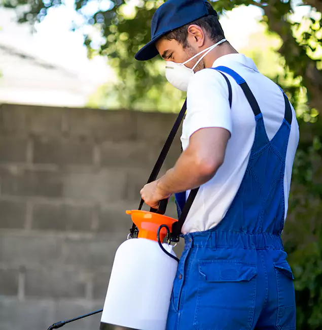Why Burke Pest Control Pro Is the Right Choice for Yellow Jacket Removal in Burke, VA?