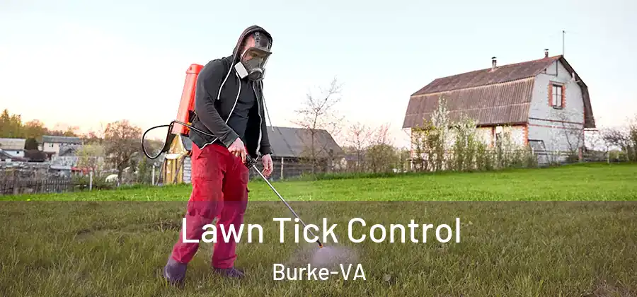Lawn Tick Control Burke-VA