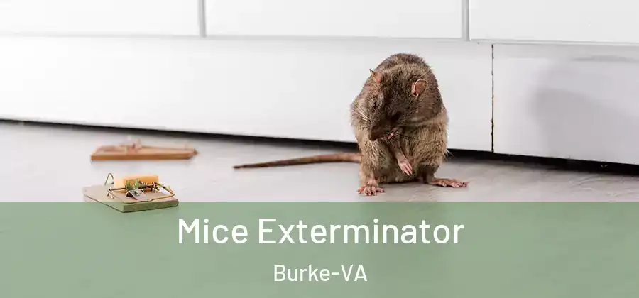 Mice Exterminator Burke-VA