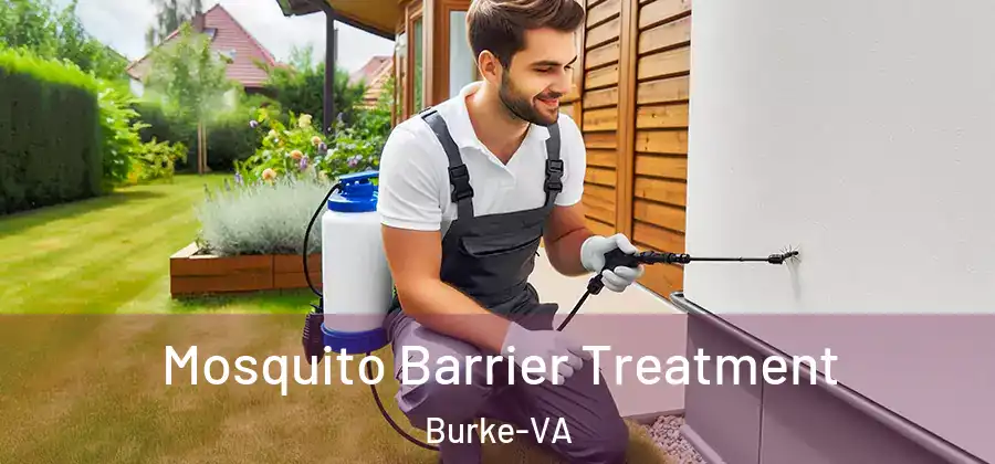 Mosquito Barrier Treatment Burke-VA