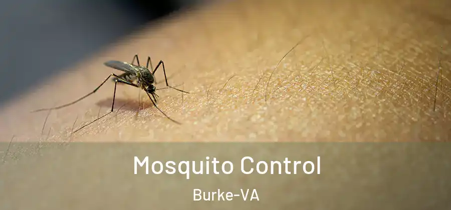 Mosquito Control Burke-VA