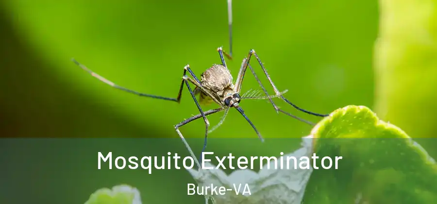 Mosquito Exterminator Burke-VA