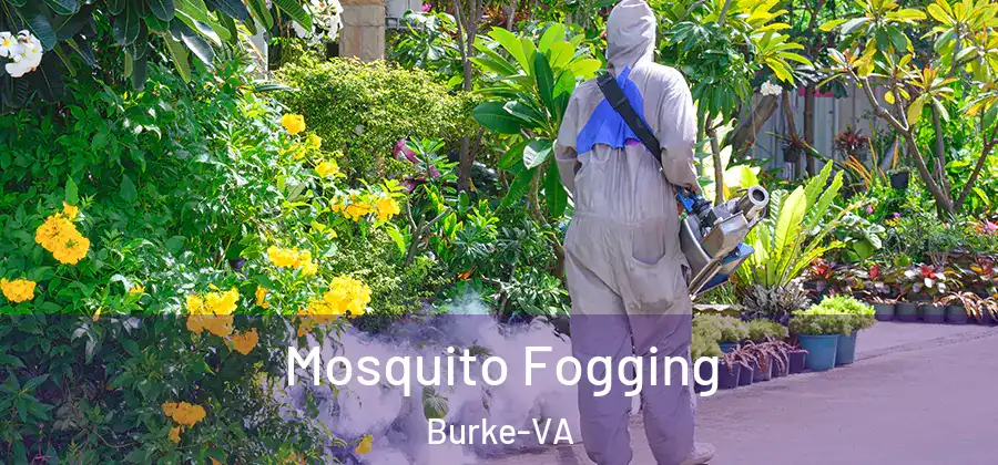 Mosquito Fogging Burke-VA