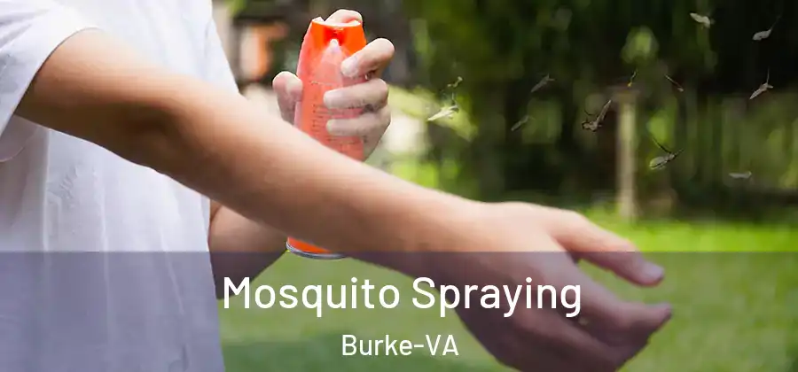 Mosquito Spraying Burke-VA
