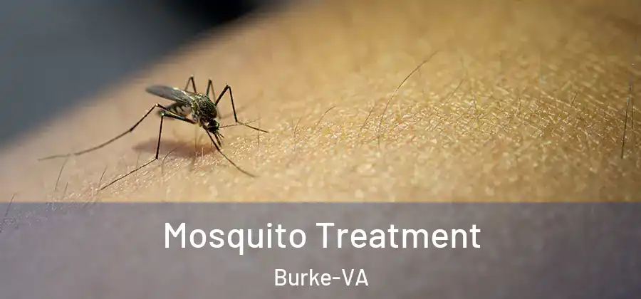 Mosquito Treatment Burke-VA