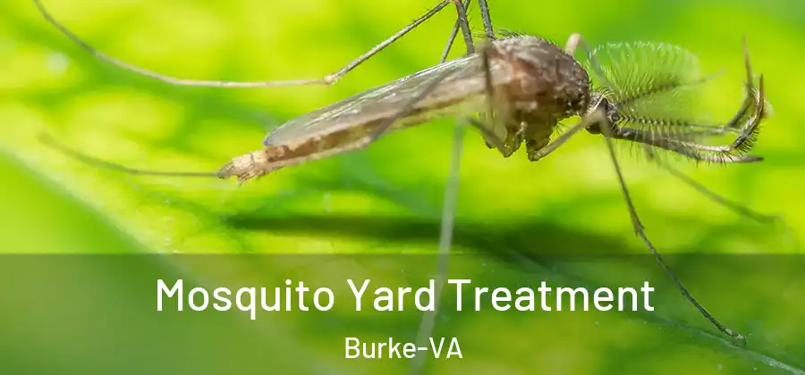 Mosquito Yard Treatment Burke-VA