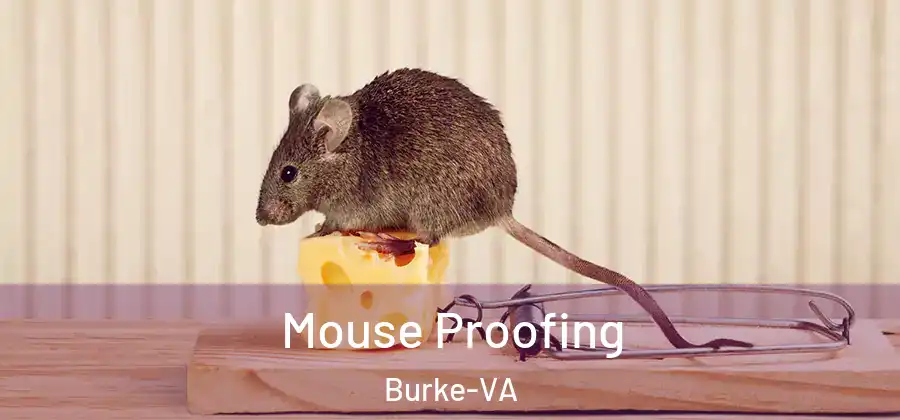 Mouse Proofing Burke-VA