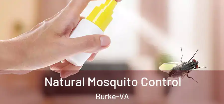 Natural Mosquito Control Burke-VA