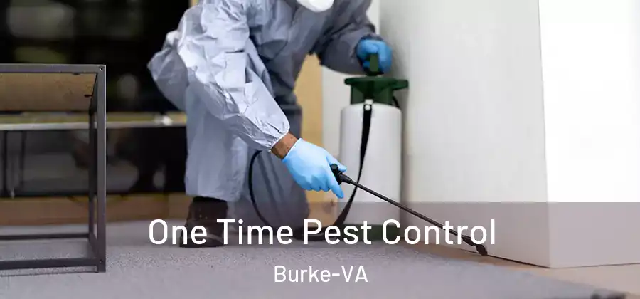 One Time Pest Control Burke-VA
