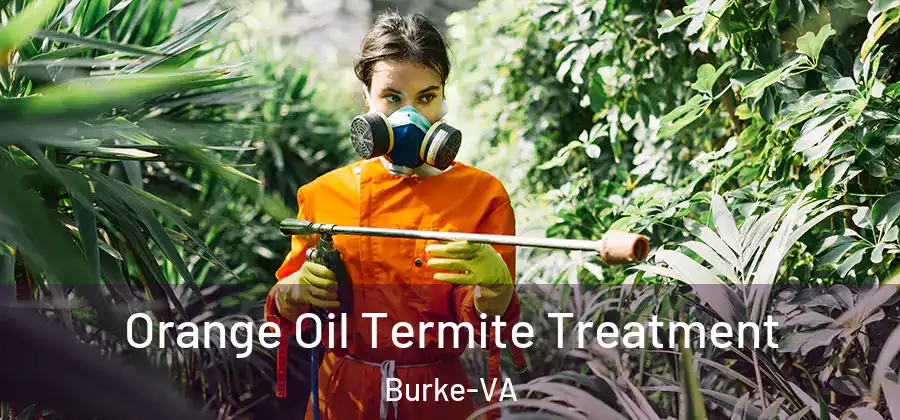 Orange Oil Termite Treatment Burke-VA
