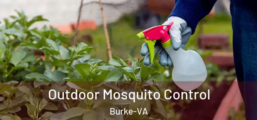 Outdoor Mosquito Control Burke-VA