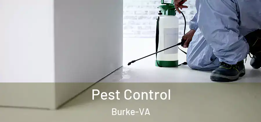 Pest Control Burke-VA