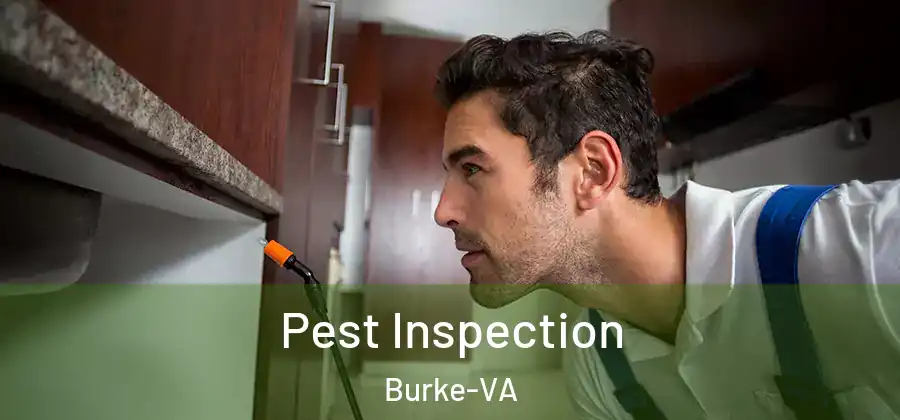 Pest Inspection Burke-VA