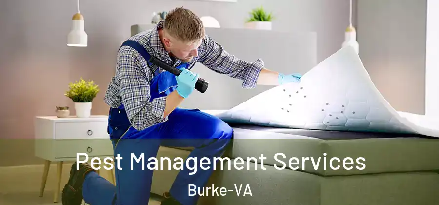 Pest Management Services Burke-VA