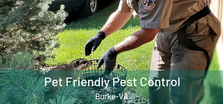Pet Friendly Pest Control Burke-VA