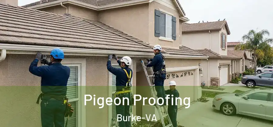Pigeon Proofing Burke-VA