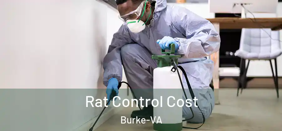 Rat Control Cost Burke-VA