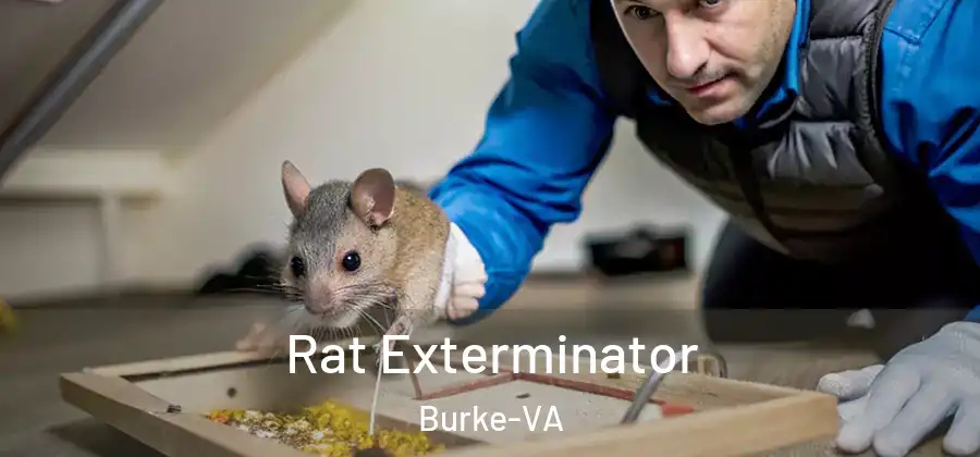 Rat Exterminator Burke-VA