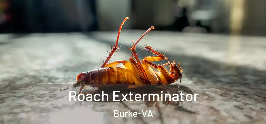 Roach Exterminator Burke-VA