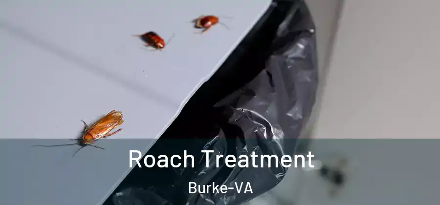 Roach Treatment Burke-VA