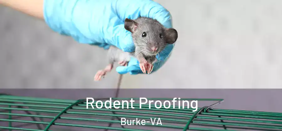 Rodent Proofing Burke-VA