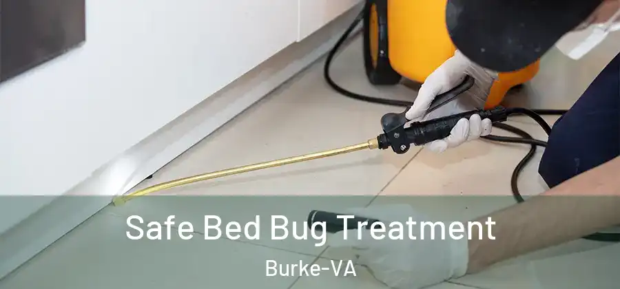 Safe Bed Bug Treatment Burke-VA