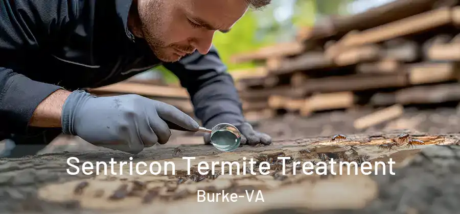  Sentricon Termite Treatment Burke-VA