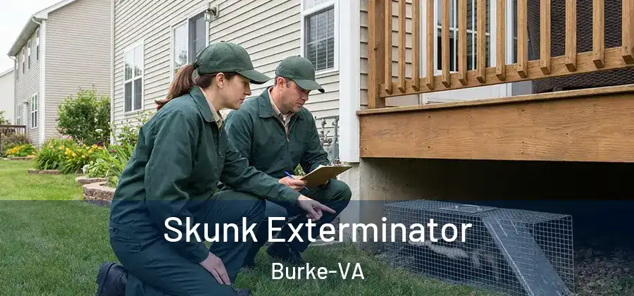 Skunk Exterminator Burke-VA