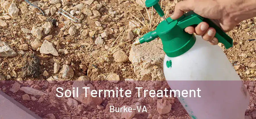 Soil Termite Treatment Burke-VA