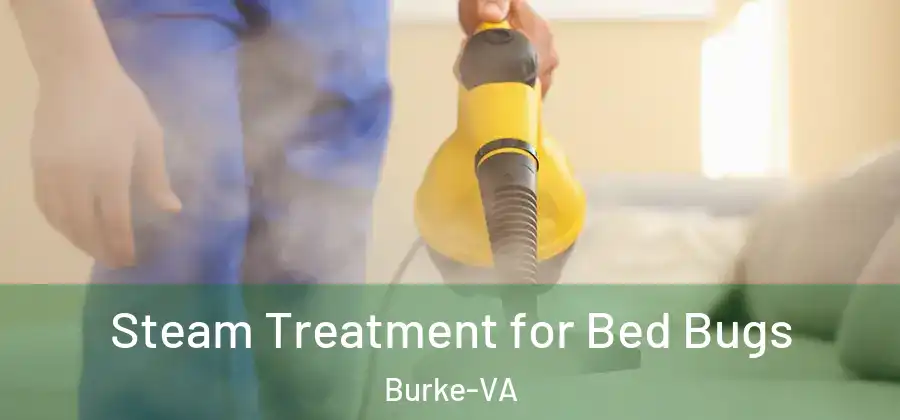 Steam Treatment for Bed Bugs Burke-VA