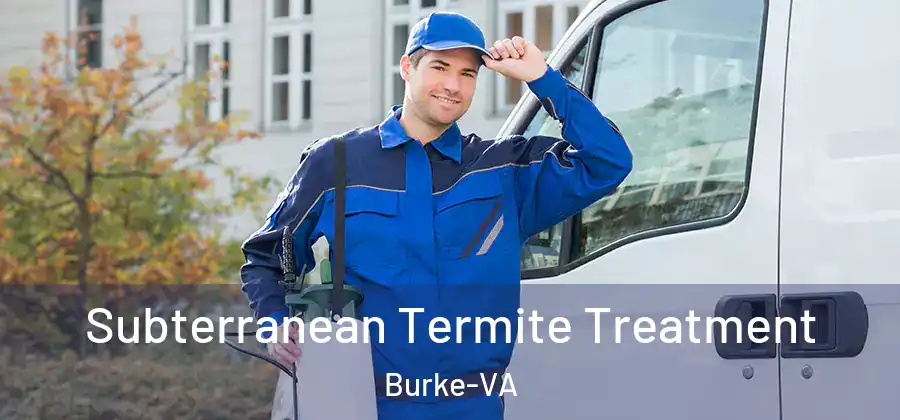 Subterranean Termite Treatment Burke-VA