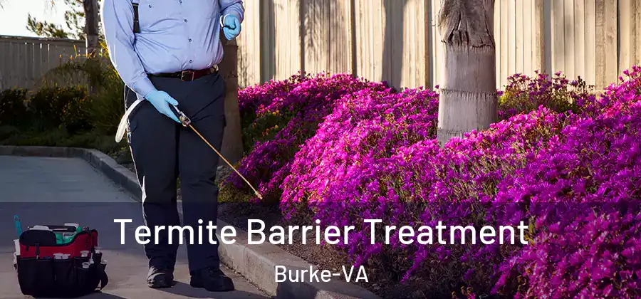 Termite Barrier Treatment Burke-VA