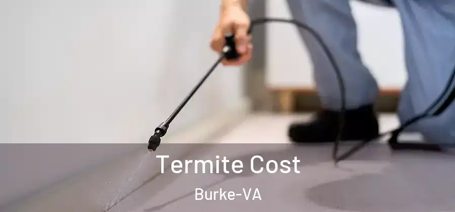 Termite Cost Burke-VA