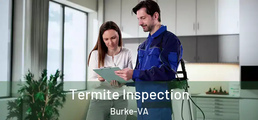 Termite Inspection Burke-VA
