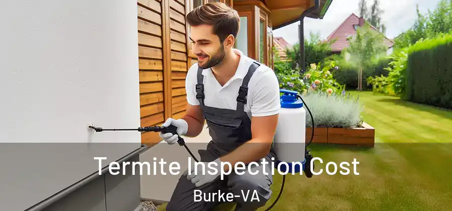 Termite Inspection Cost Burke-VA