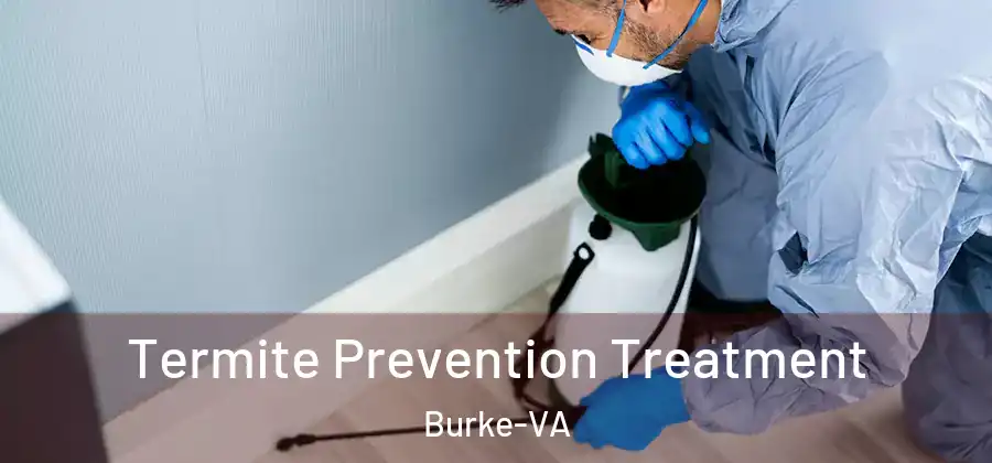 Termite Prevention Treatment Burke-VA