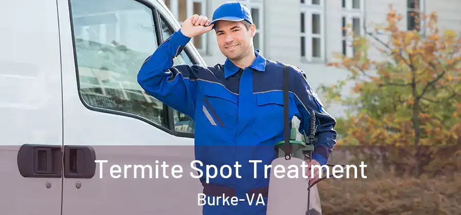 Termite Spot Treatment Burke-VA