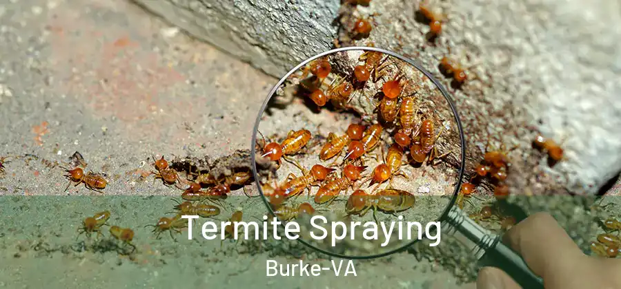 Termite Spraying Burke-VA
