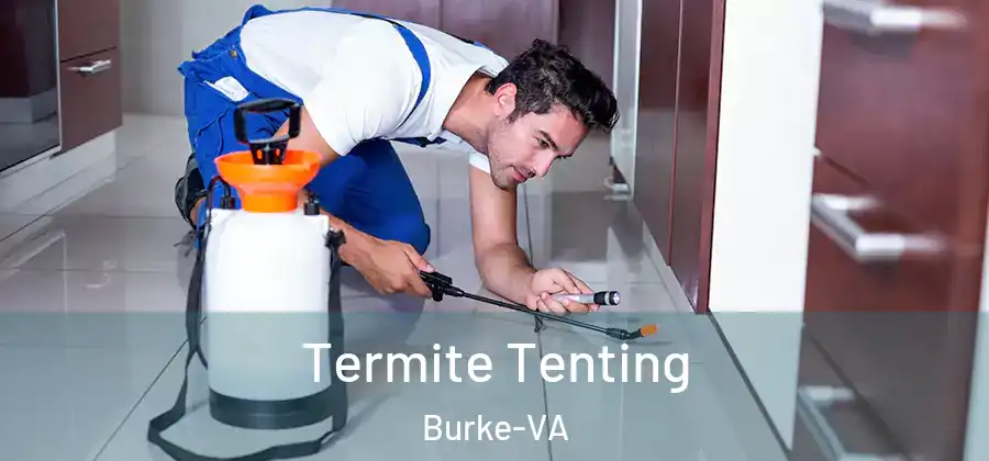 Termite Tenting Burke-VA